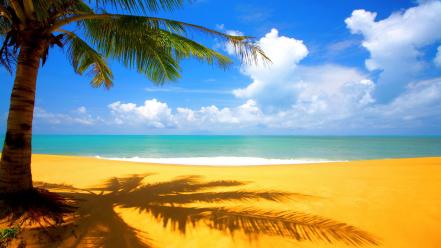 Tree Beach Side wallpaper