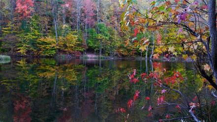 Autumn colors green lakes landscapes wallpaper