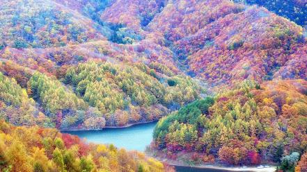 Fukushima japan autumn colors forests wallpaper