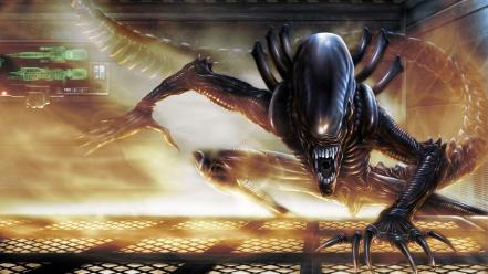 Alien franchise xenomorph artwork creatures wallpaper