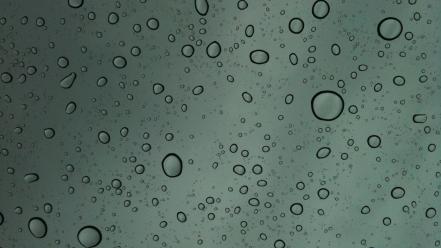 Drop water drops wallpaper