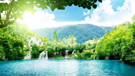 Forests green lakes nature water wallpaper