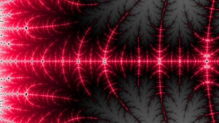 Fractals mandelbrot trippy wallpaper