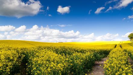 May clouds fields landscapes nature wallpaper