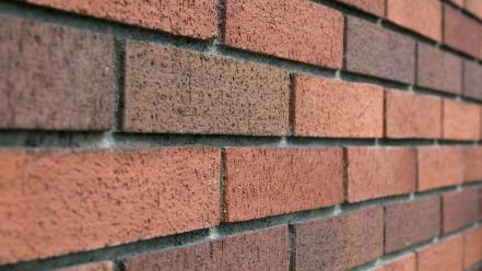 Bricks brick wall textures wallpaper
