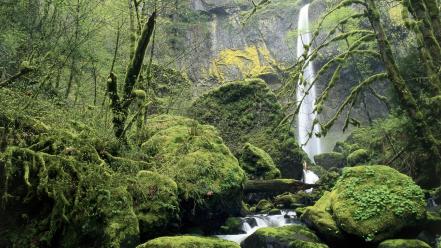 Oregon falls national scenic wallpaper