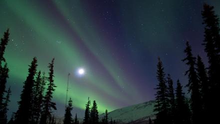 Aurora borealis nature wallpaper
