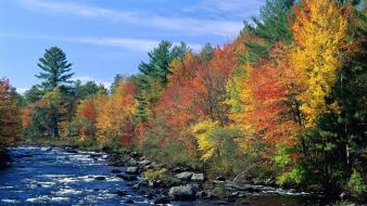 Colors Of England wallpaper