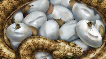 Hatching Snakes wallpaper