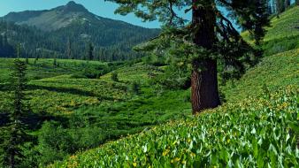 Mountains landscapes nature meadows