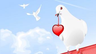 White Dove And Heart wallpaper