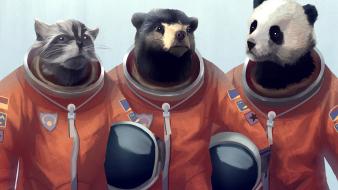Animals panda bears artwork cosmonaut raccoons furry wallpaper