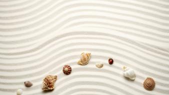 Beach sand lines seashells wallpaper