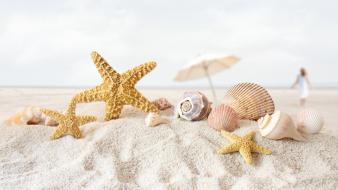 Beach sand starfish seashells depth of field umbrellas wallpaper