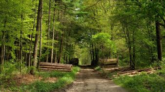 Landscapes nature path