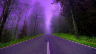 Nature trees purple fog woods roads way wallpaper