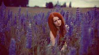 Women redheads lavender wallpaper