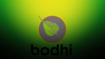 Bodhi linux green wallpaper