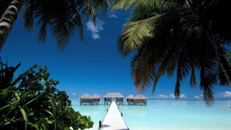 Maldives beach house palm trees paradise tropical wallpaper