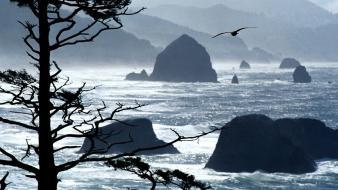 Oregon coast point wallpaper