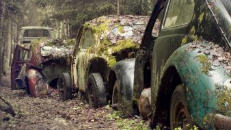 Volkswagen beetle cars moss old rusted wallpaper