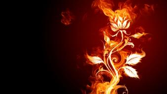 Burn fire flower flames flowers wallpaper
