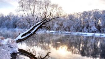 Forests landscapes nature rivers snow wallpaper
