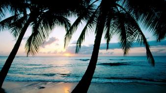 Sun beaches landscapes palm trees sunset wallpaper