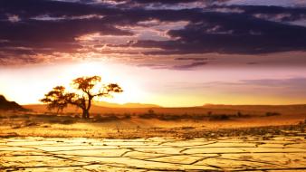 African deserts landscapes nature sunrise wallpaper