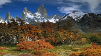 Argentina national park autumn beech landscapes wallpaper