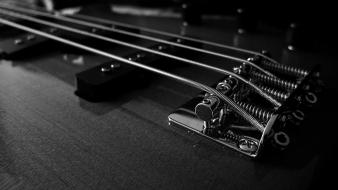 Bass guitars music strings wallpaper