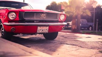 Ford mustang cars classic muscle vehicles wallpaper