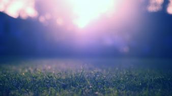 Grass ground light wallpaper