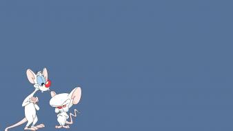 Pinky and the brain animation cartoons funny rats wallpaper