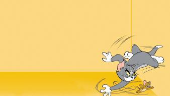 Tom and jerry cartoons mice the cat wallpaper