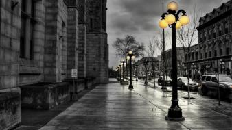 White nature selective coloring street lights walk wallpaper