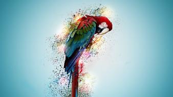 Artwork birds digital art parrots wallpaper