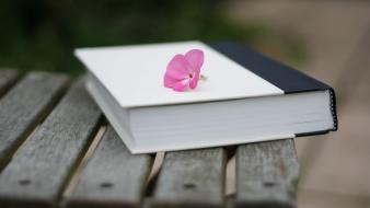 Bench books pink flowers