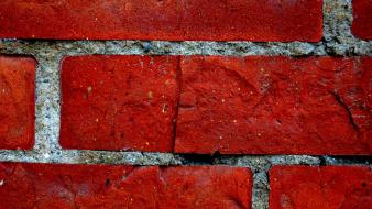 Bricks macro wall wallpaper