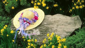 Daffodils hats louisville yellow flowers wallpaper