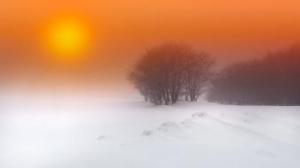 Fog nature snow sunset wallpaper
