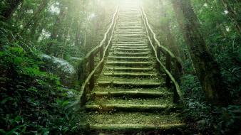 Heaven nature rainforest stairways wallpaper