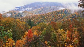 Appalachian north carolina mountains wallpaper