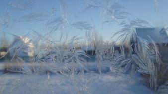 Frosted glass frost wallpaper