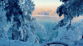 Frozen landscapes nature snow trees wallpaper