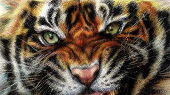 Animals digital art drawings paintings tigers wallpaper
