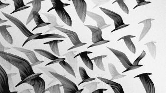 Artwork birds black and white digital art monochrome wallpaper