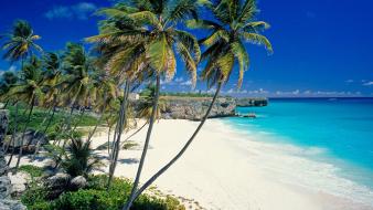Barbados beaches landscapes sand wallpaper