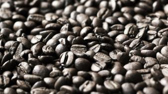 Coffee beans food objects