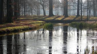 Grass lakes landscapes mist nature wallpaper